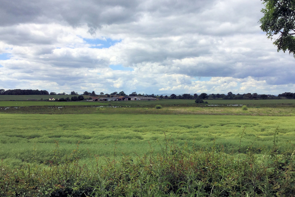 Whixall moss photograph